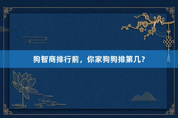 狗智商排行前，你家狗狗排第几？